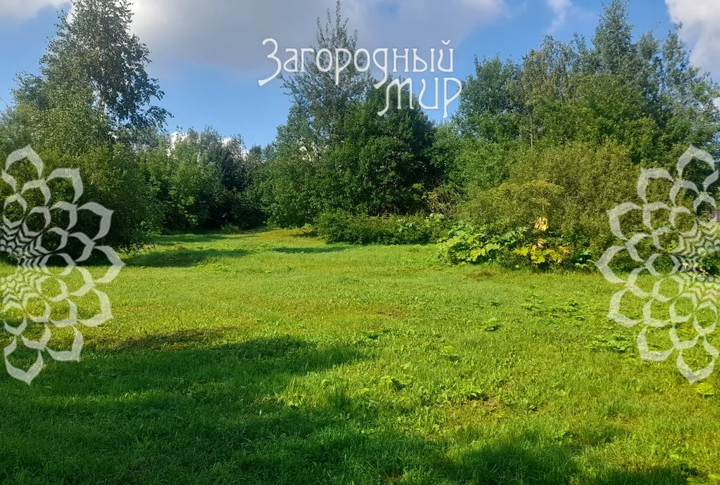 Продам участок, Дмитровское шоссе, 50 км от МКАД - Фото 5