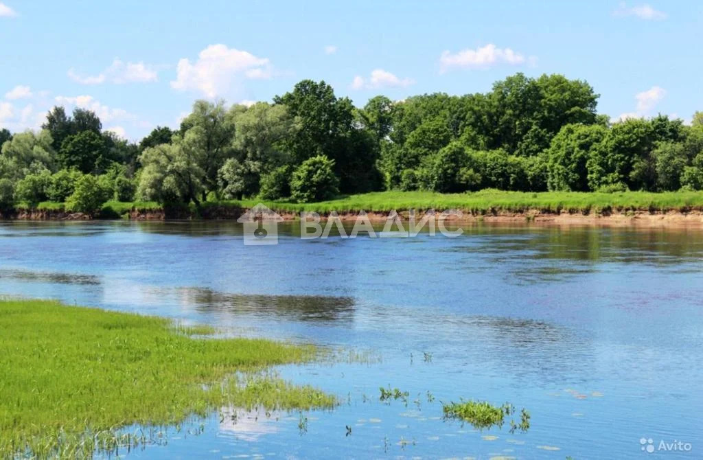 Судогодский район, село Спас-Купалище,  дом на продажу - Фото 4