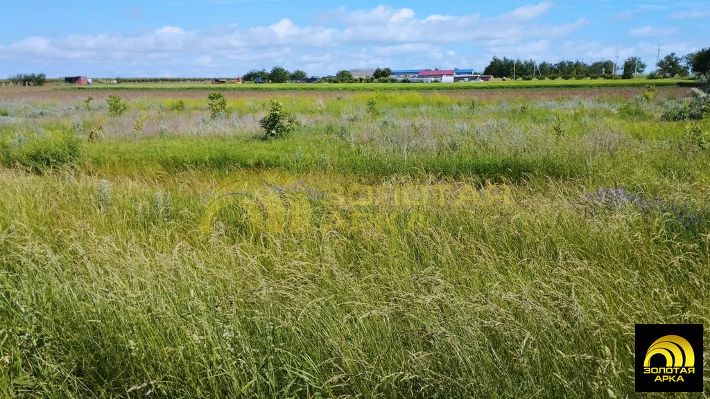 Продажа участка, Юбилейный, Темрюкский район - Фото 6