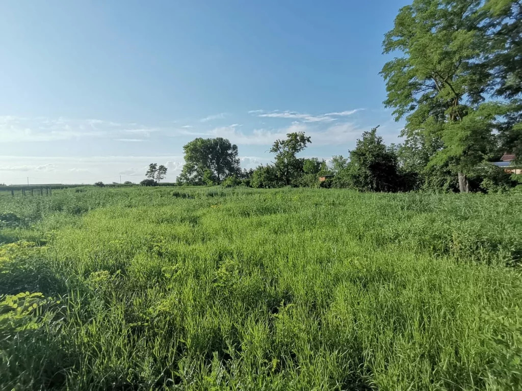 Продажа участка, Старонижестеблиевская, Красноармейский район, Ул. . - Фото 4