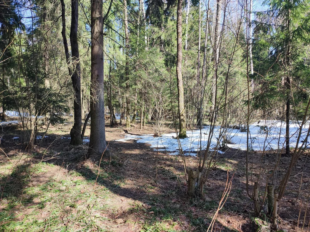 Продажа участка, НИИ Радио, Одинцовский район, Тыльная улица - Фото 10