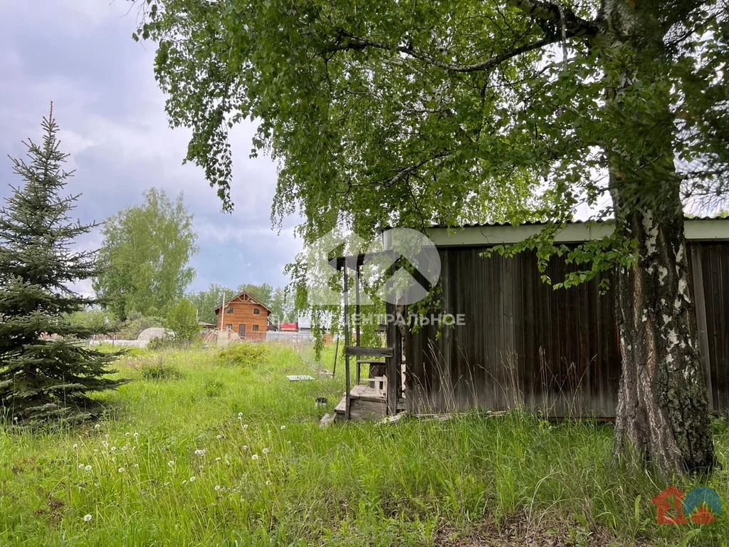 Новосибирский район, садоводческое некоммерческое товарищество ... - Фото 8