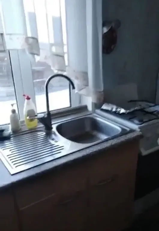 Курганская область Каргапольский р-он с. Брылино, ул. А. Антонова 18. - Фото 20