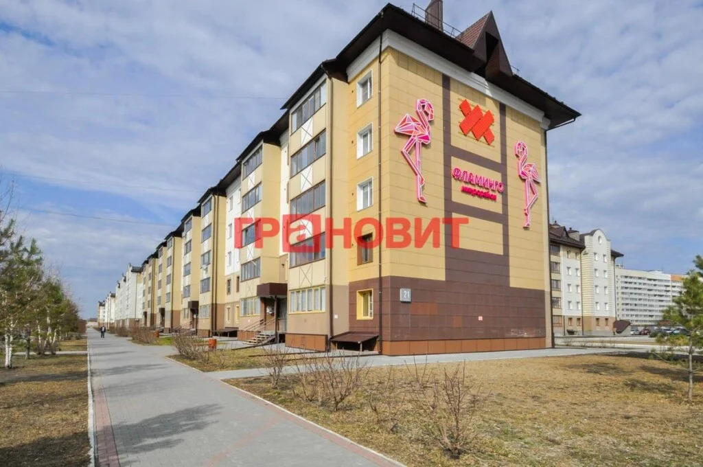 Продажа квартиры, Элитный, Новосибирский район, микрорайон Фламинго - Фото 24