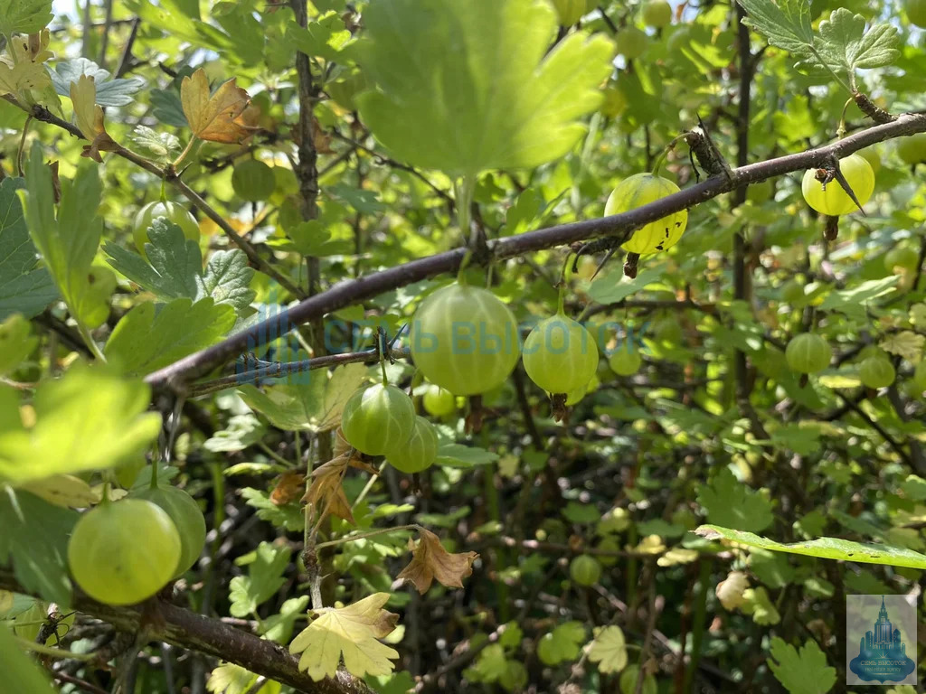 Продажа дома, Подольск, 50 - Фото 28