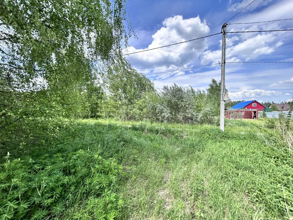 Продажа участка, Дмитровский район, СНТ Отрадное - Фото 11
