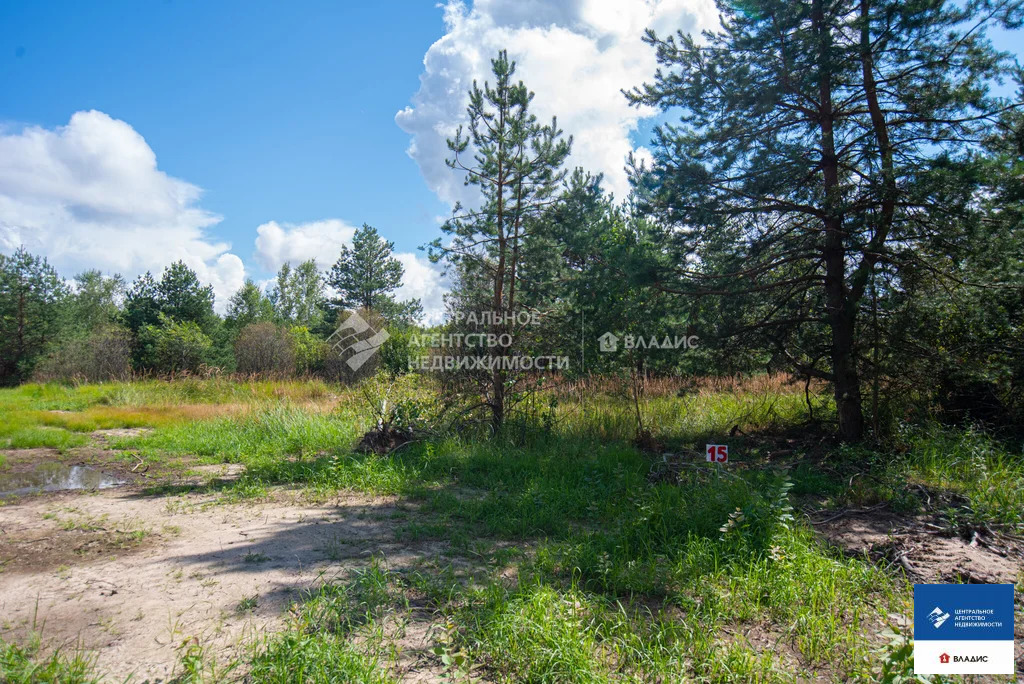 Продажа участка, Ушмор, Клепиковский район - Фото 4