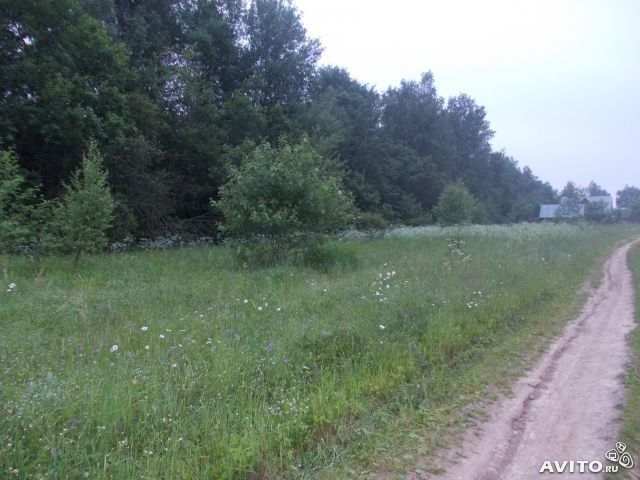 Участок д 1. Починки Солнечногорский район. Участок д Починки Солнечногорский район. Коттеджный поселок Починки Солнечногорского района. Солнечногорск д Починки.