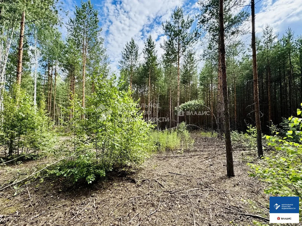 Продажа участка, Мурмино, Рязанский район - Фото 4
