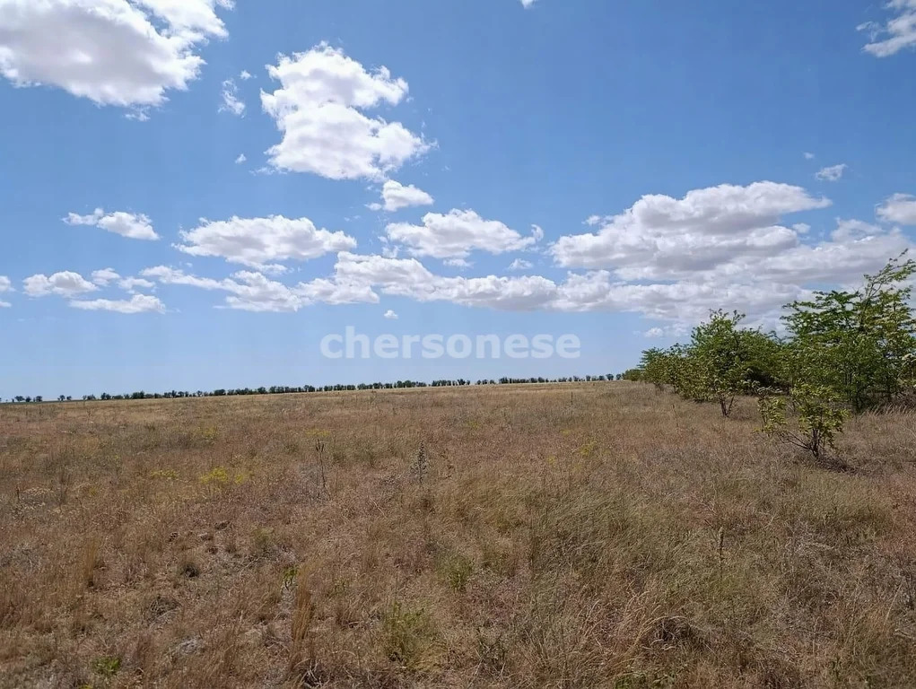 Продажа участка, Наташино, Сакский район, ул. 50 лет ВЛКСМ - Фото 6