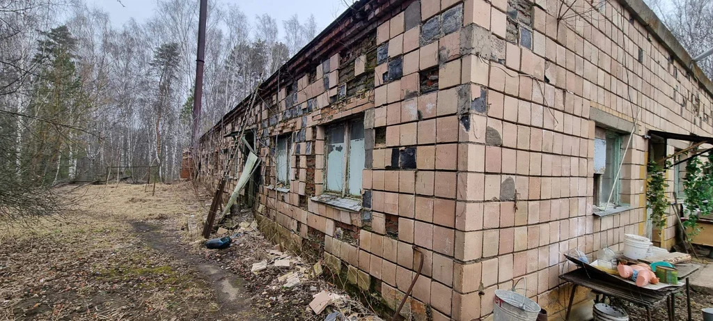 База отдыха "Лесные дали" - Фото 22