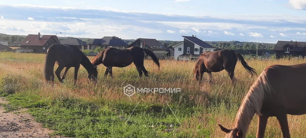 Продажа участка, Ломоносовский район, Ясная ул. - Фото 10