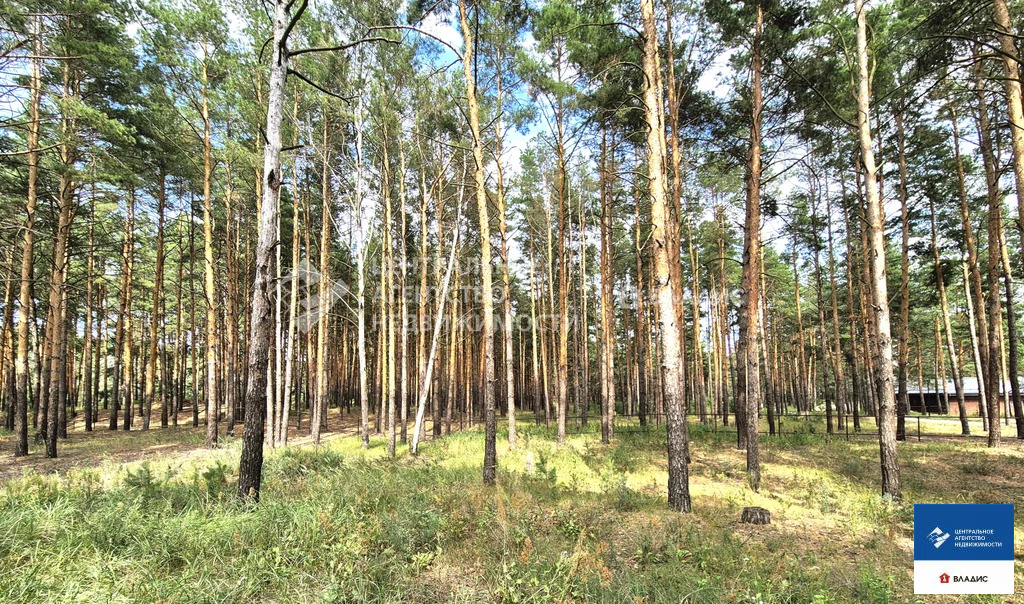 Продажа участка, Рязанский район - Фото 7