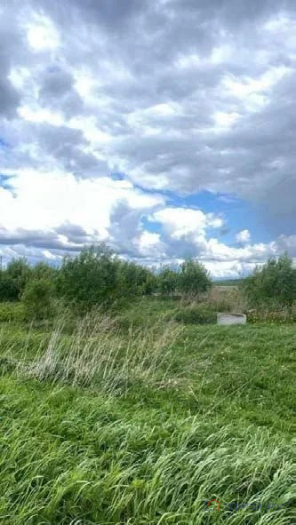 Продажа земельного участка, Горки, Ломоносовский район - Фото 1