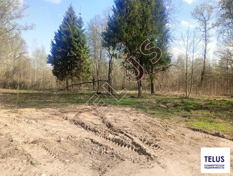 МО, Ногинский район, д Дядькино, 4 Га, Участок под гостиницу, ... - Фото 20