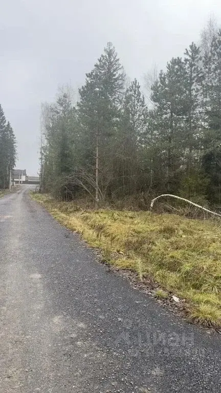 Лесные участки в Истринском районе! - Фото 7