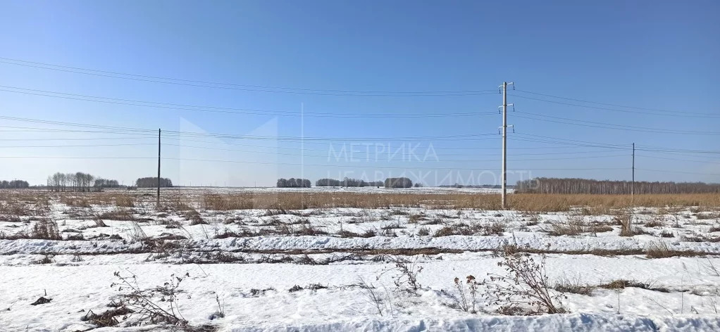 Погода в червишево на 3 дня. Юбилейный Червишево.