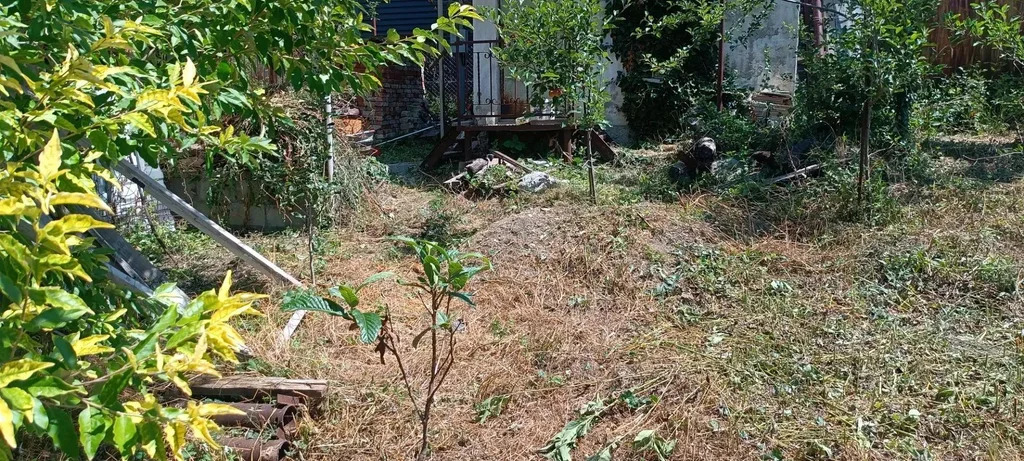 Продажа участка, Геленджик, тер. СНТ Медик (село Дивноморское) - Фото 8