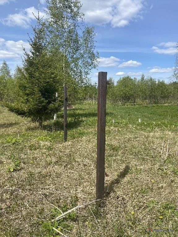 Продажа участка, Большое Пальцино, Переславский район - Фото 7