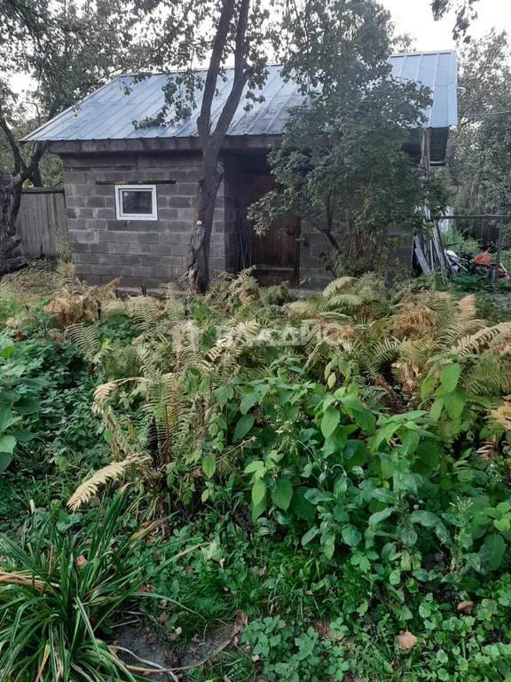 городской округ Пушкинский, Пушкино, Ярославское шоссе,  земля на ... - Фото 9