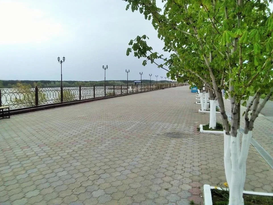 Продается квартира, 46.39 м - Фото 12