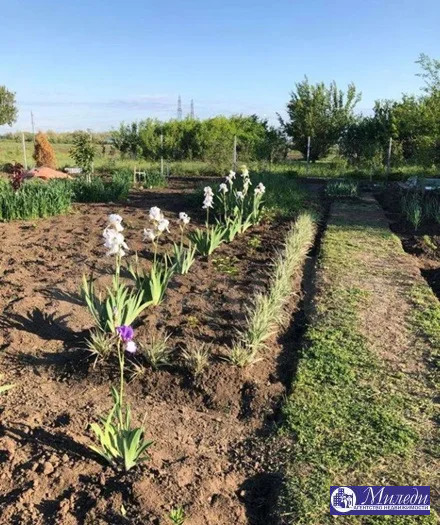 Продажа участка, Батайск, ул. 14 проезд улица - Фото 7