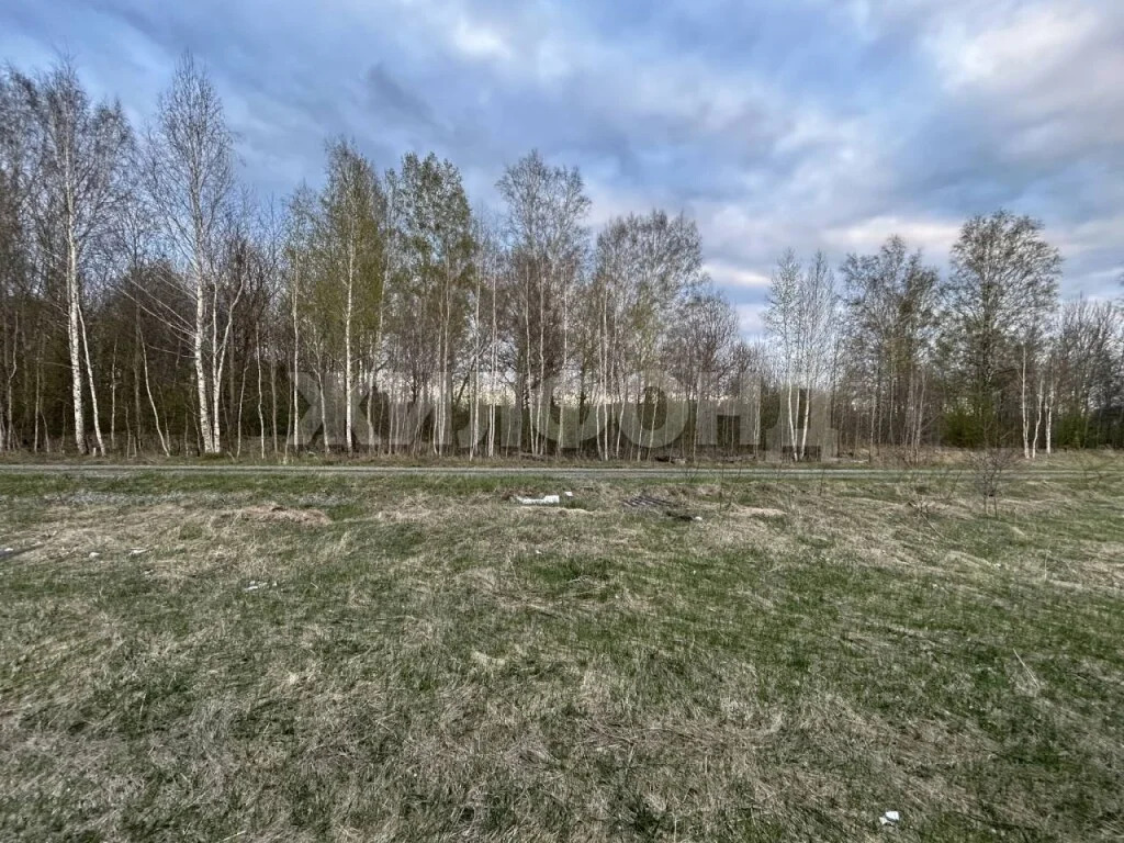 Продажа дома, Коченево, Коченевский район, Сиреневая - Фото 5