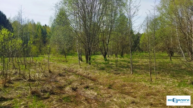Продажа готового бизнеса, Серпухов, Московская обл. - Фото 4