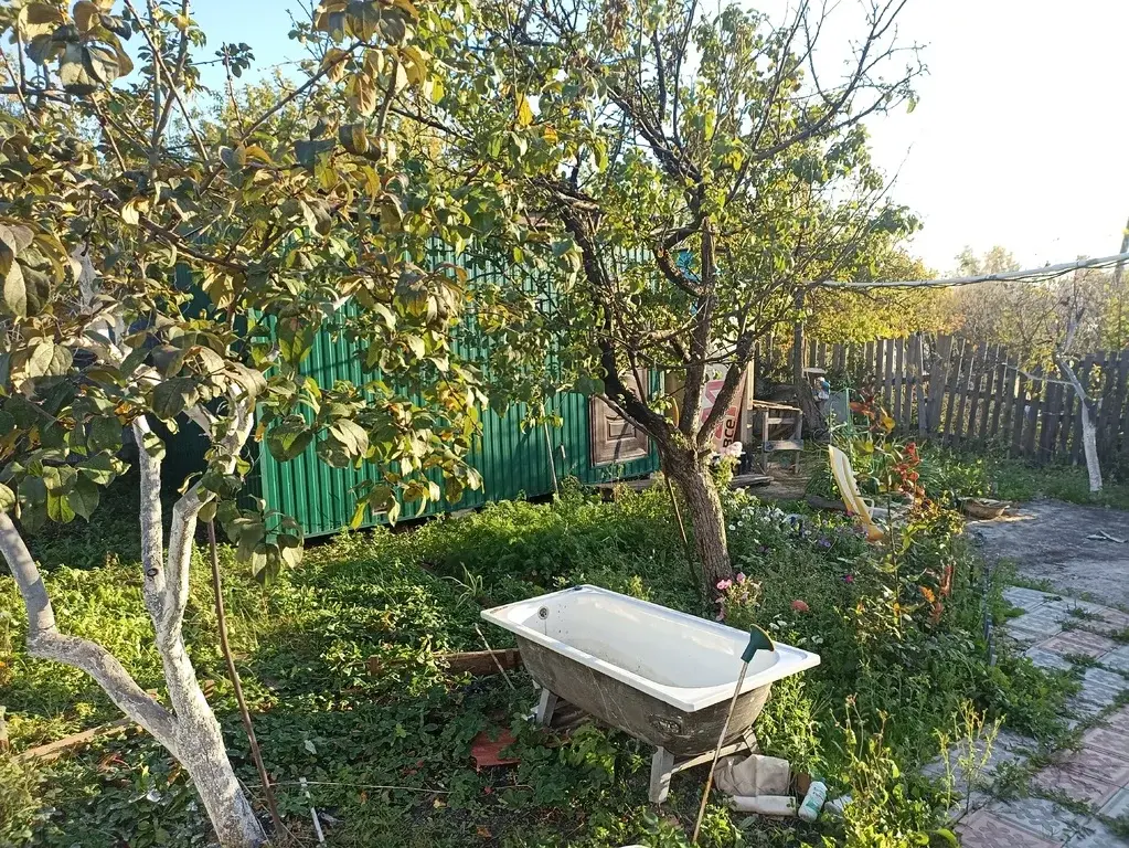 Продажа сад СНТ Станкостроитель 2 - Фото 7