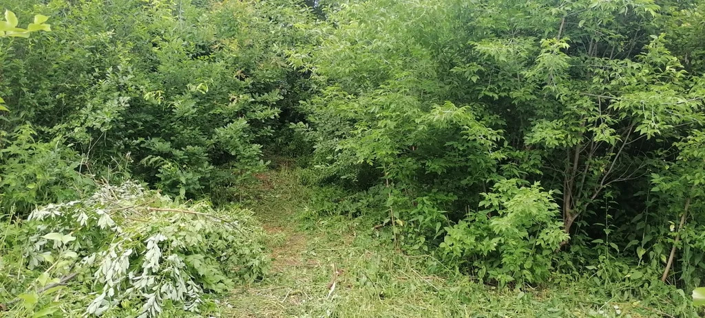 Продажа участка, Таргайский дом отдыха, Новокузнецкий район, ул. ... - Фото 14