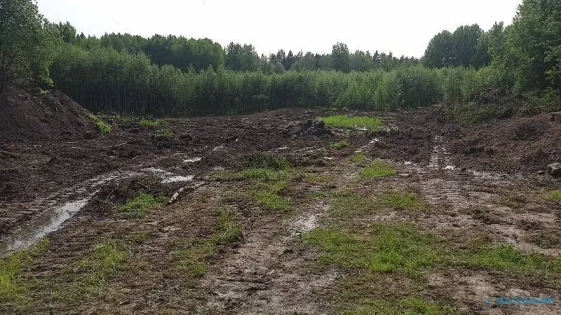 Продажа участков ИЖС от 850м2 в ЖК «Кивеннапа Север», п. Первомайское. - Фото 9