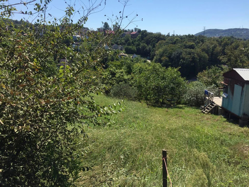 Дачные Участки В Сочи Недорого Купить