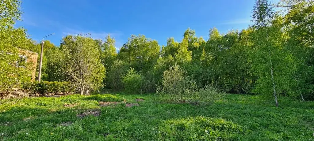 Рублево-Успенское ш. 20км. д. Солослово О КП «Заря» участок 16 сот ИЖС - Фото 3