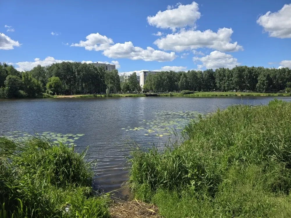 Продаю 2к.кв в Балашихе - Фото 26