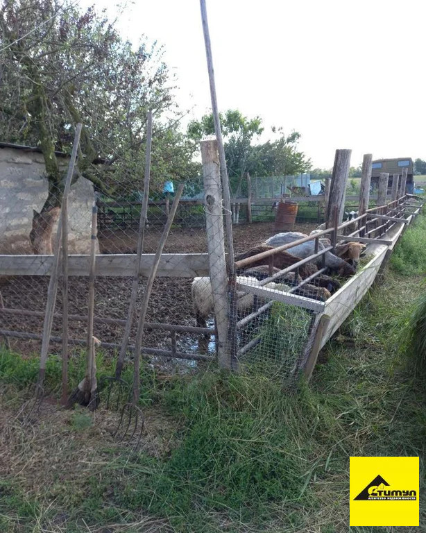 Продажа дома, Большевик, Ейский район - Фото 7