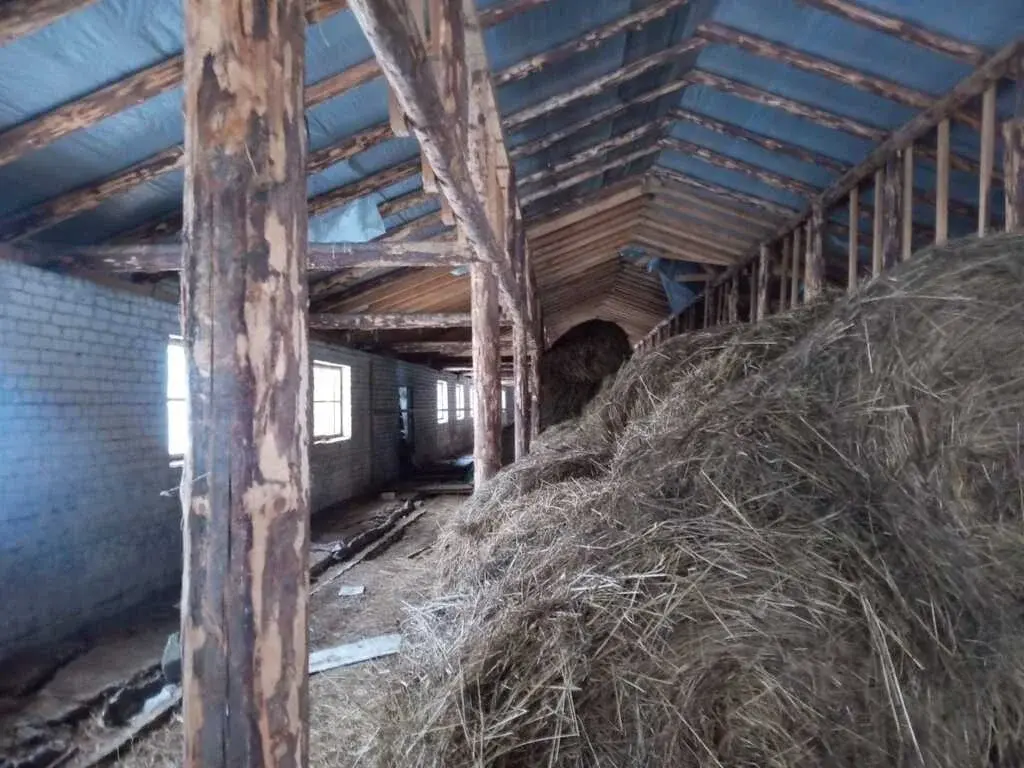 Продажа 436 га с административным зданием и фермой, 170 км от МКАД - Фото 10