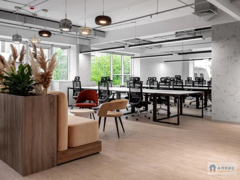 Аренда помещения 870 м2 под офис, рабочее место м. Менделеевская в ... - Фото 5