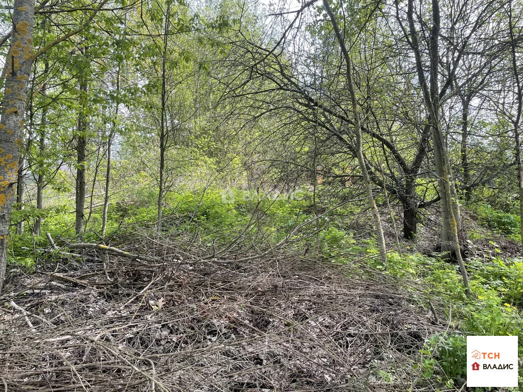 Продажа участка, Ельня, Богородский г. о. - Фото 2