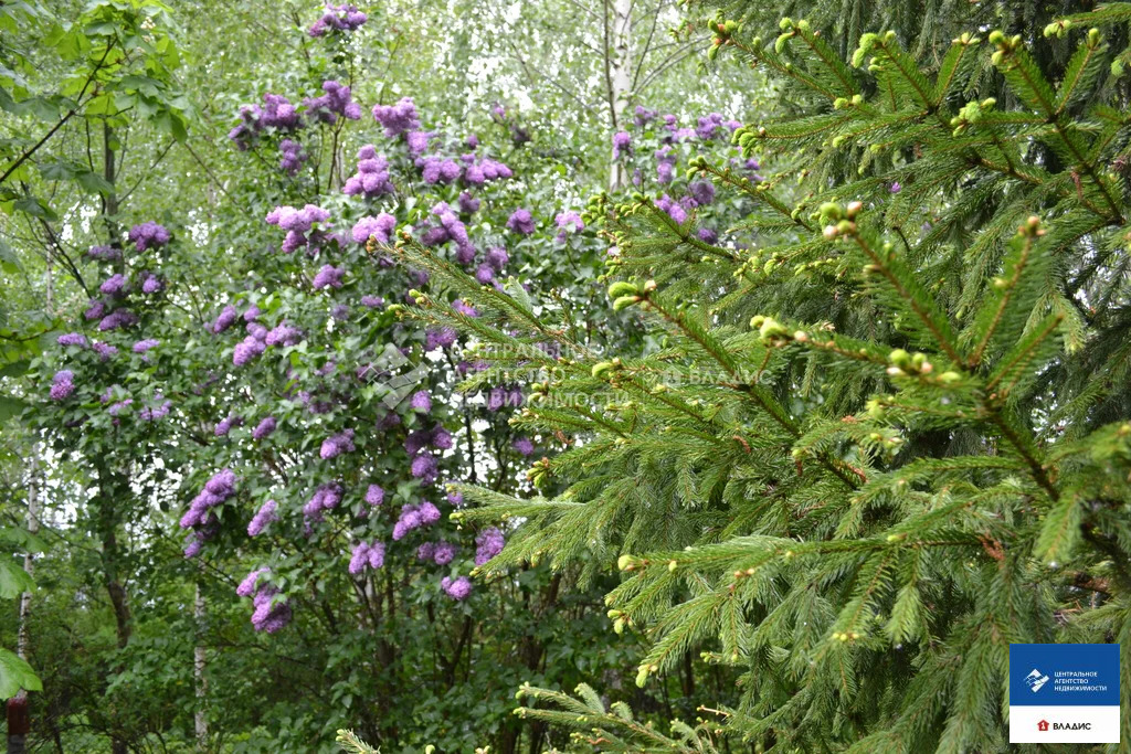 Продажа дома, Сорокино, Рязанский район - Фото 11