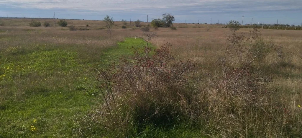 Продажа участка, Севастополь, ул. Полевая - Фото 4