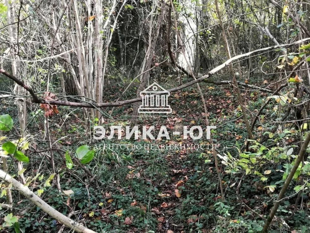 Продажа участка, Вольное, Туапсинский район, ул. Лесная - Фото 14