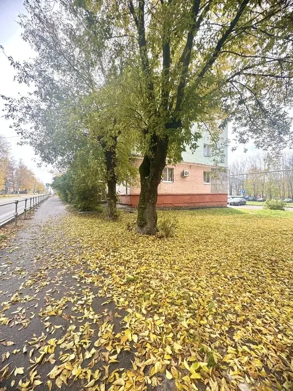 В продаже уютная трешка в кирпичном доме - Фото 9