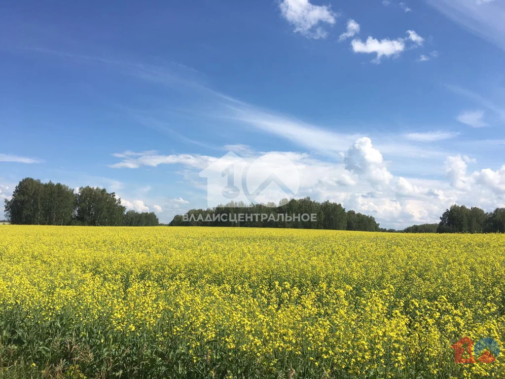 Новосибирский район, село Гусиный Брод, микрорайон Идиллия, микрорайон ... - Фото 4