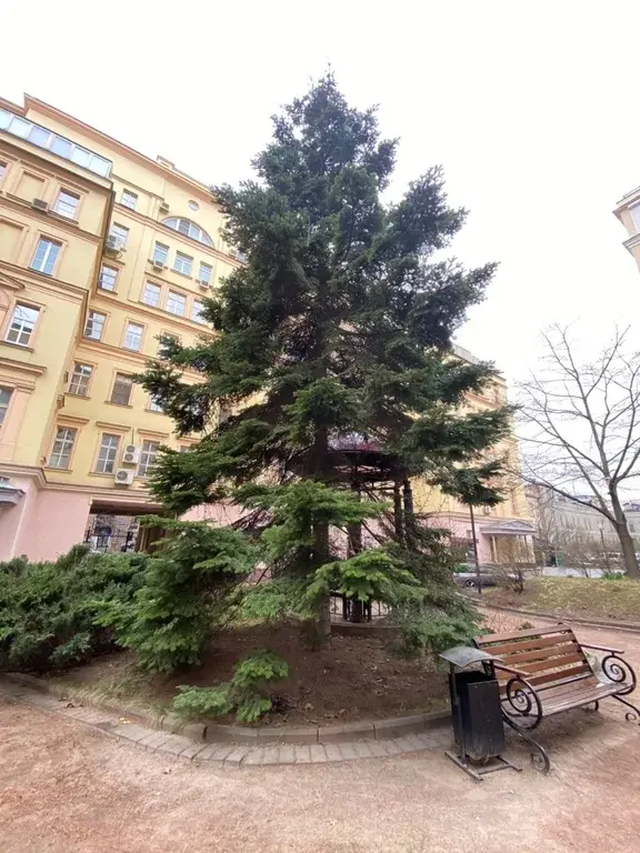 4-ка, Москва, Тверская, 28к2 - Фото 5