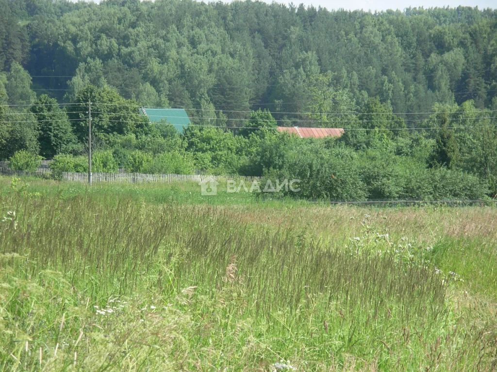 Судогодский район, деревня Аннино,  земля на продажу - Фото 2