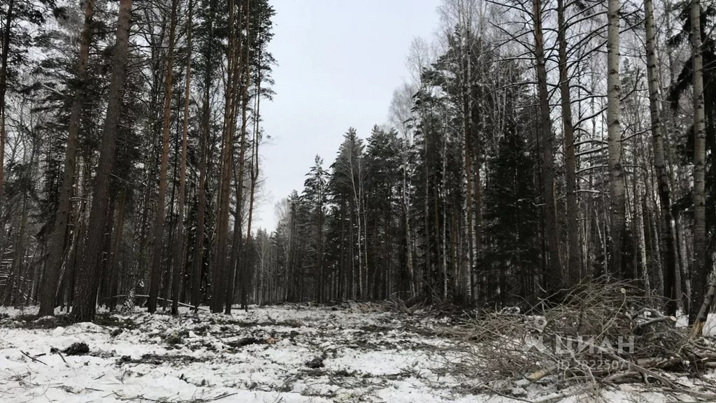 Кадастровая карта тюнево нижнетавдинский район