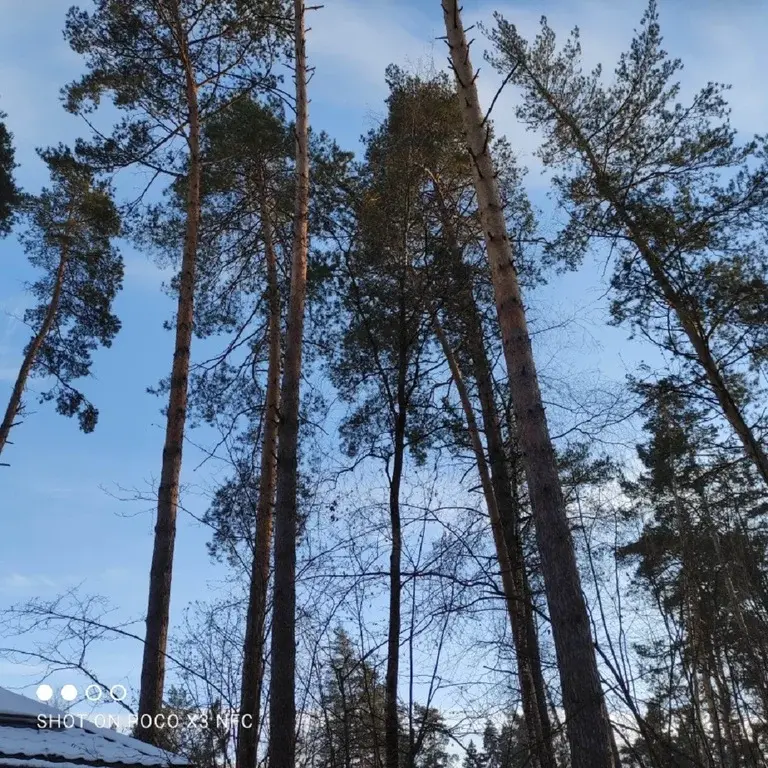 Участок с соснами в уникальном поселке со своим озером на Рублевке - Фото 1