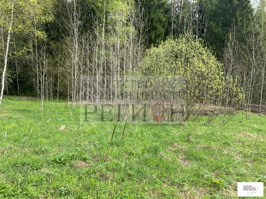 Продажа участка, Наро-Фоминский район, садоводческое некоммерческое ... - Фото 6
