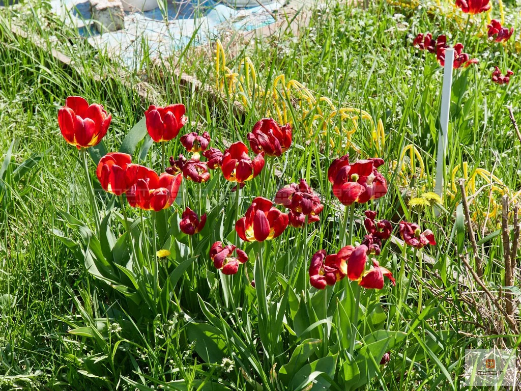 Продажа дома, Казань, тер. СДТ Смородинка - Фото 20