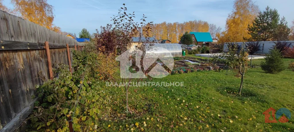 Новосибирский район, садовое товарищество Шафран,  земля на продажу - Фото 1